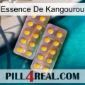 Kangaroo Essence new10